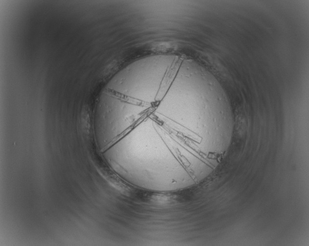 X0000073460375200608181311