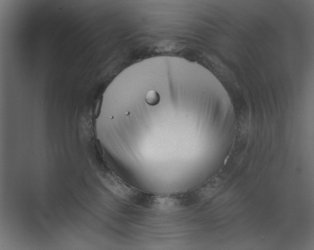 X0000073460376200608181311