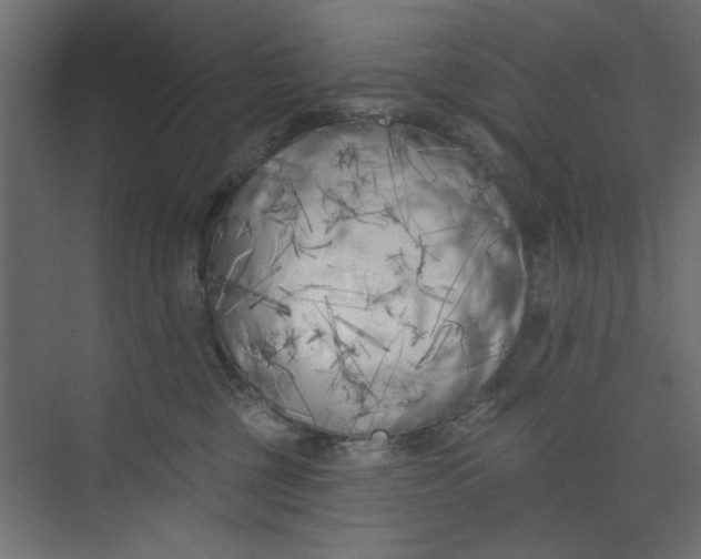 X0000073460377200608181311