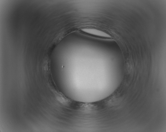 X0000073460379200608181311