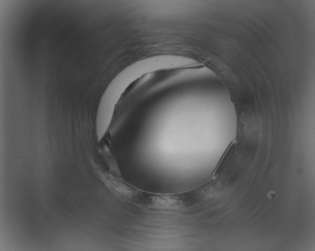 X0000073460380200608181311