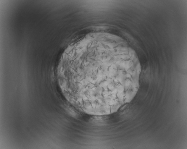 X0000073460381200608181311