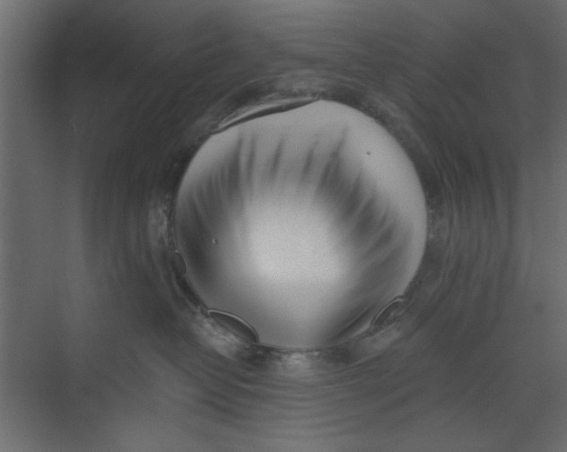 X0000073460382200608181311