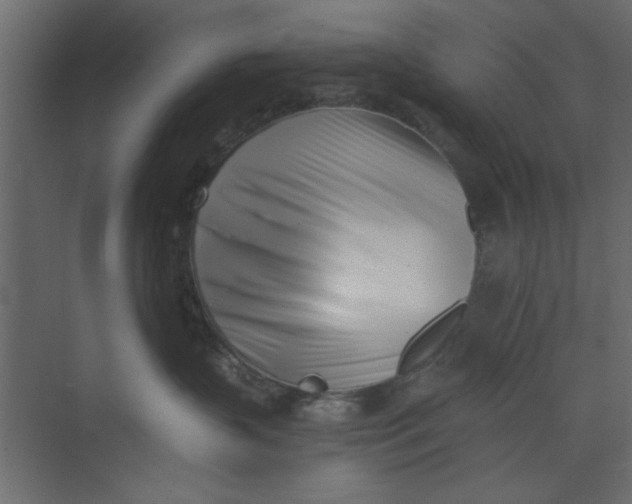 X0000073460383200608181311