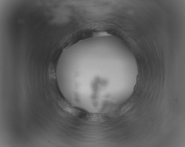 X0000073460384200608181311