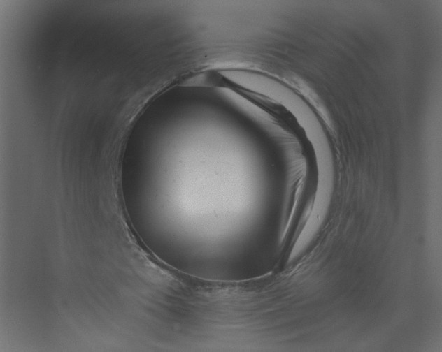 X0000073460385200608181311