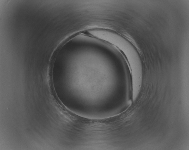 X0000073460387200608181311