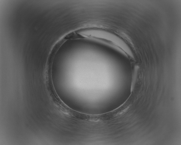 X0000073460388200608181311