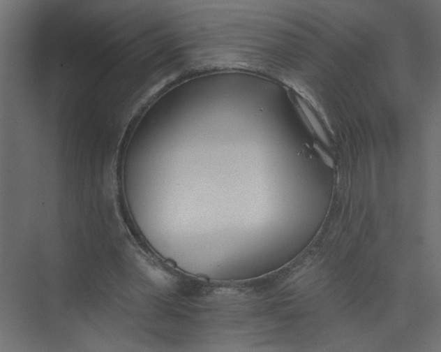 X0000073460390200608181311