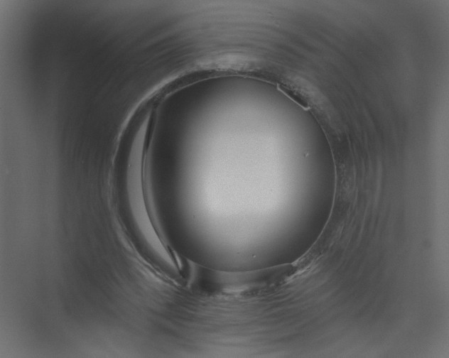 X0000073460392200608181310