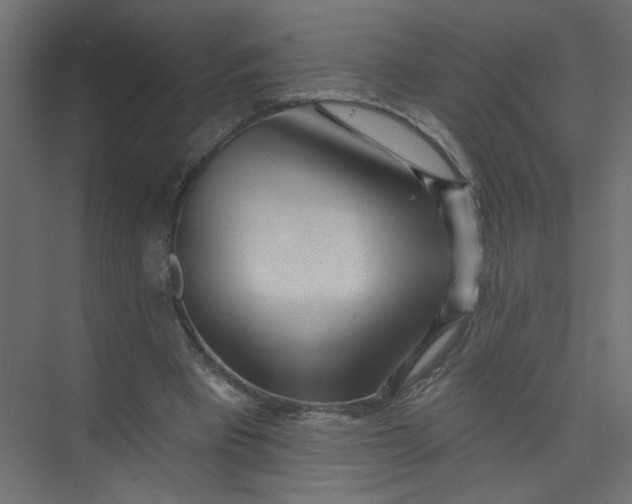 X0000073460393200608181310