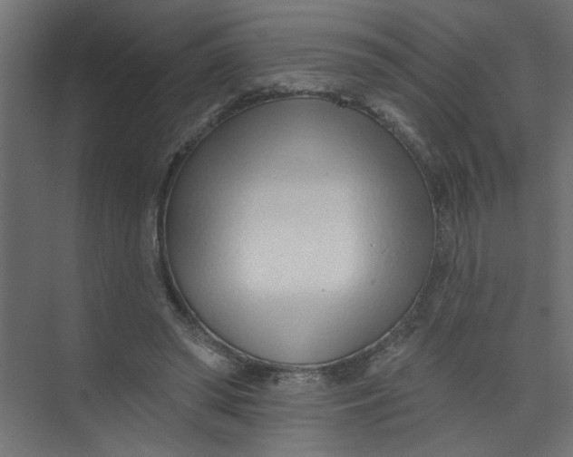 X0000073460398200608181310