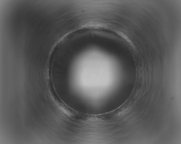 X0000073460399200608181310