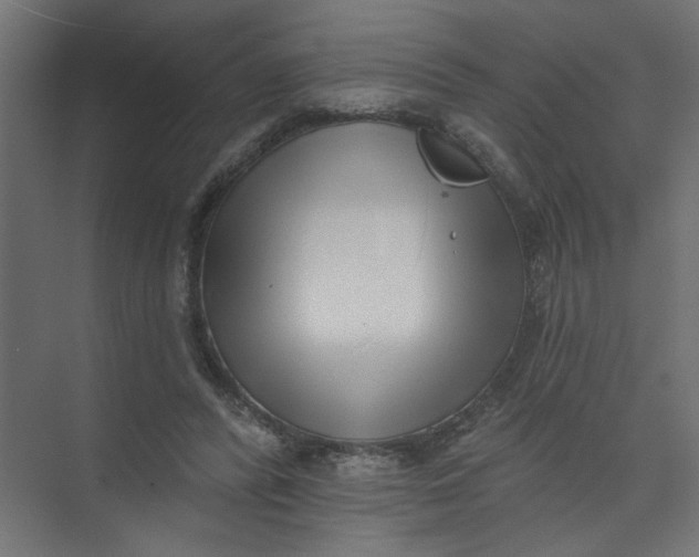 X0000073460400200608181310