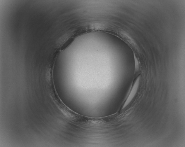 X0000073460401200608181310