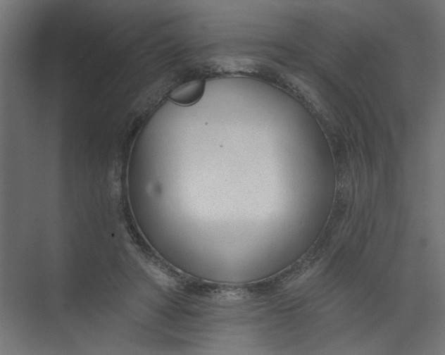 X0000073460402200608181310