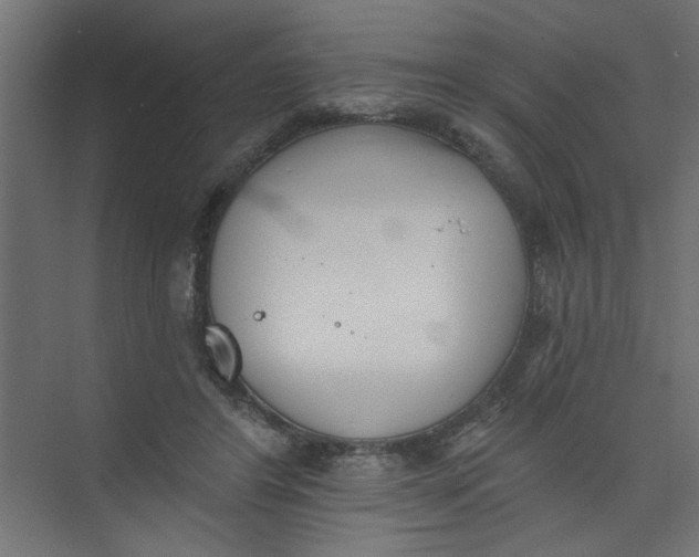 X0000073460404200608181310