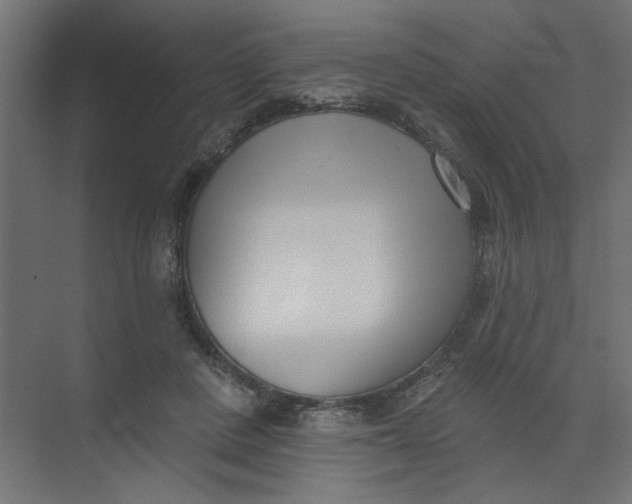 X0000073460408200608181310