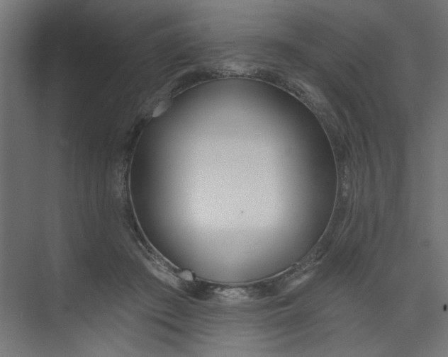 X0000073460409200608181310