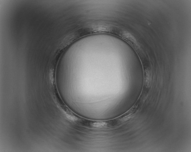 X0000073460410200608181310