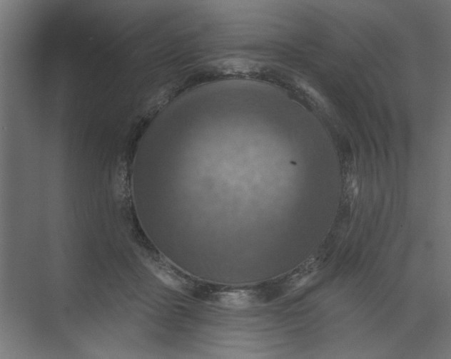 X0000073460411200608181310