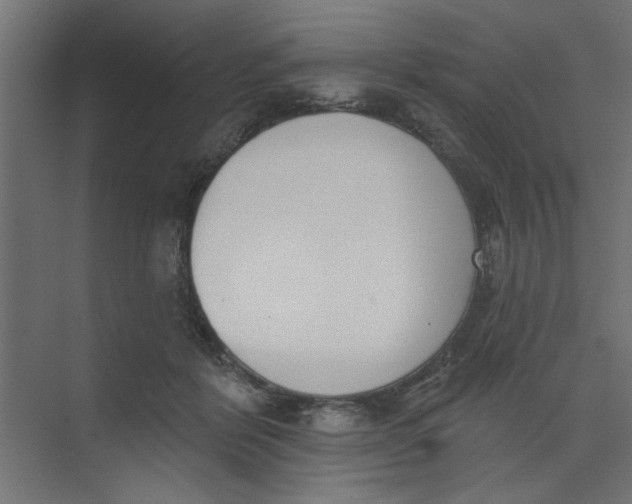 X0000073460412200608181310