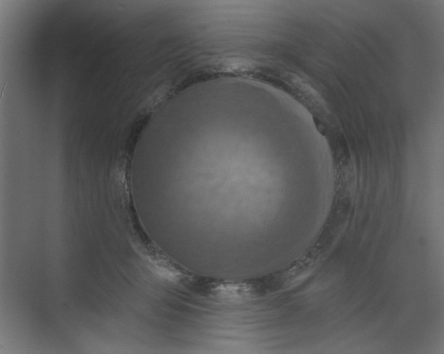 X0000073460415200608181310