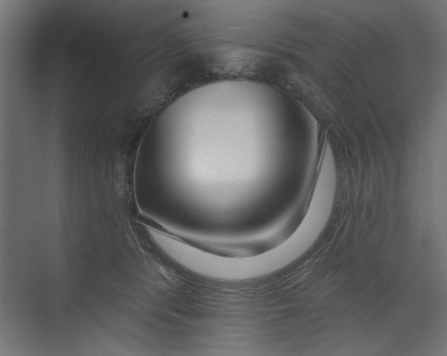 X0000073460416200608181310