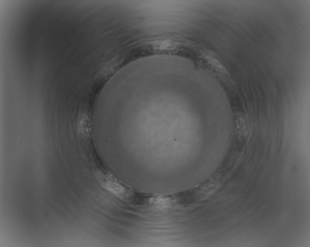 X0000073460419200608181310