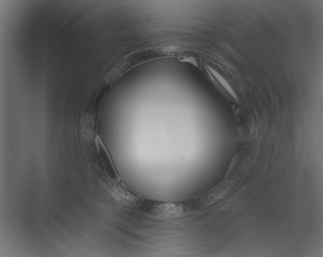 X0000073460421200608181310