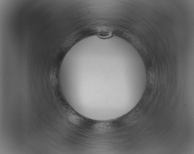 X0000073460422200608181310