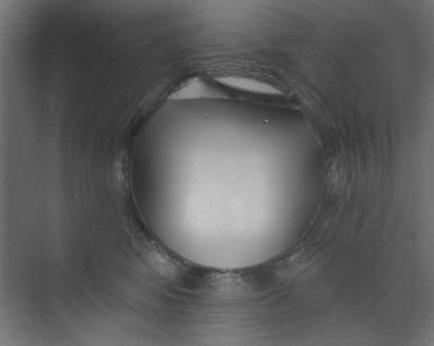 X0000073460424200608181310