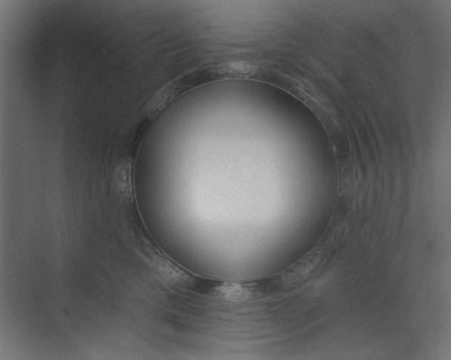 X0000073460425200608181310