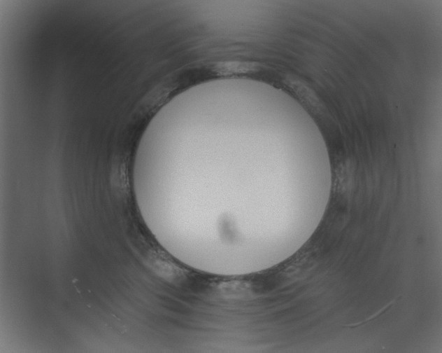 X0000073460426200608181310