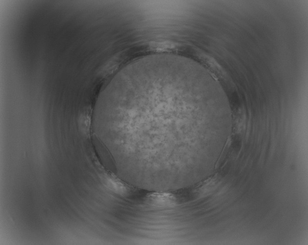 X0000073460427200608181310