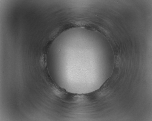 X0000073460428200608181310