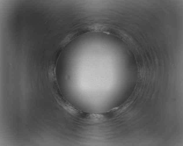 X0000073460429200608181310