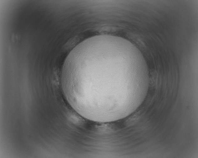 X0000073460430200608181310