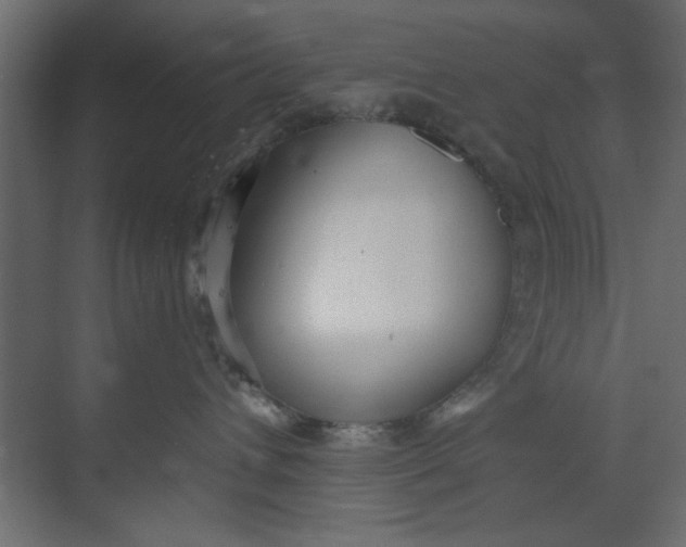 X0000073460432200608181310