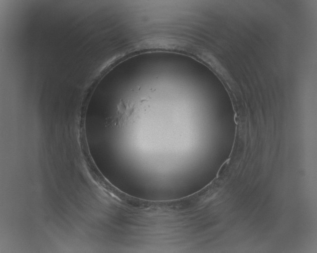 X0000073460434200608181309