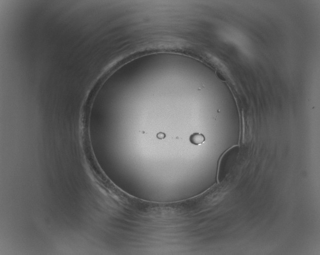 X0000073460435200608181309