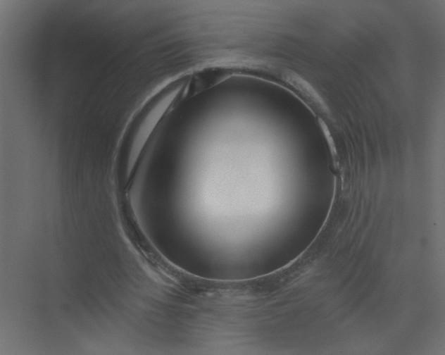 X0000073460436200608181309