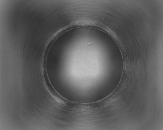 X0000073460438200608181309