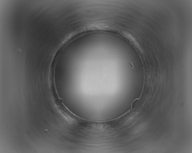 X0000073460439200608181309