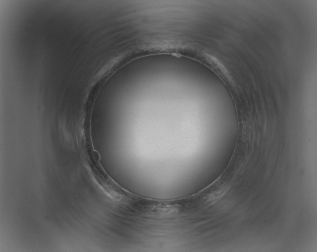 X0000073460443200608181309