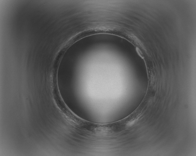 X0000073460444200608181309