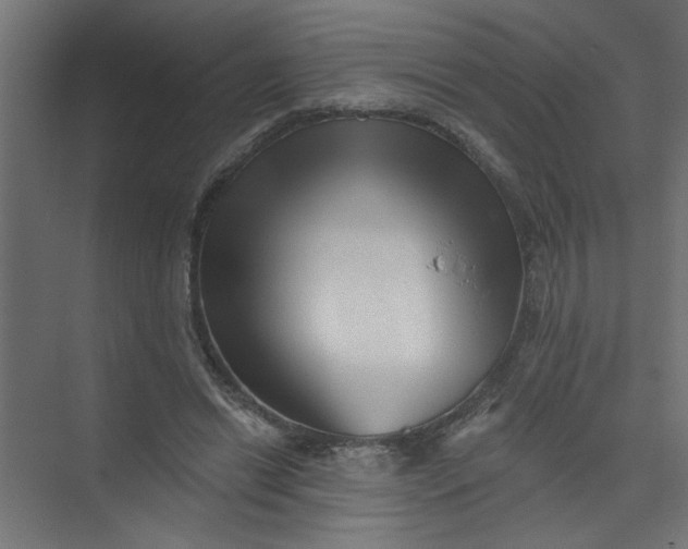 X0000073460446200608181309