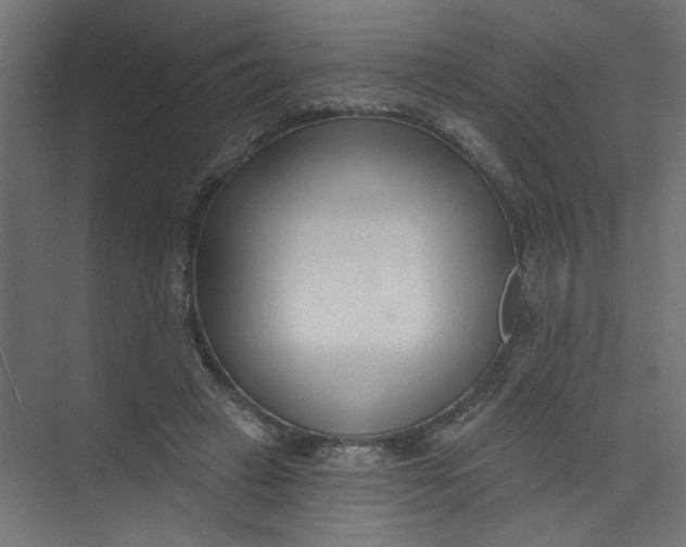 X0000073460449200608181309