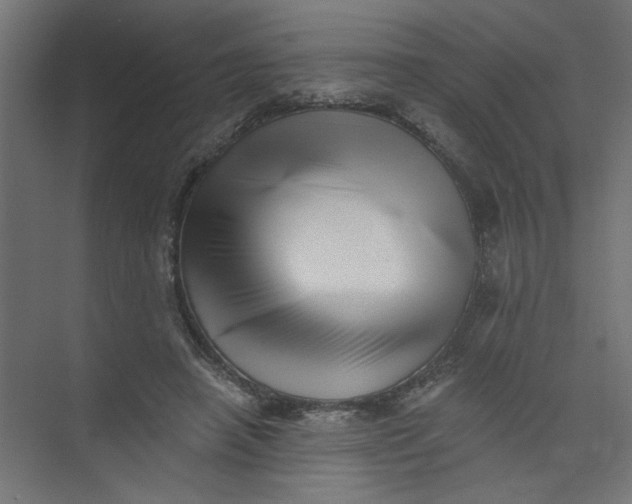 X0000073460450200608181309