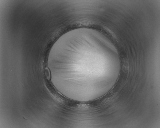 X0000073460451200608181309